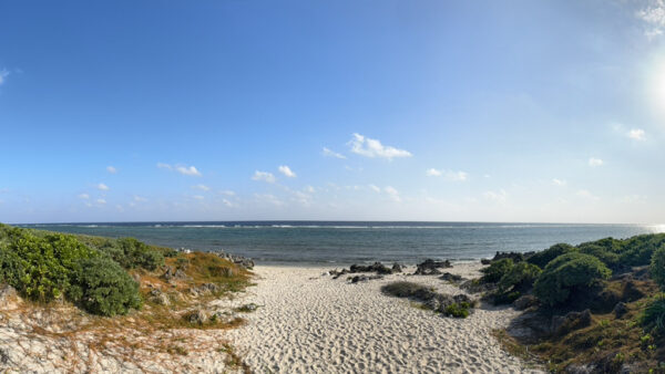 しまんちゅ鎮魂の旅、その前日に