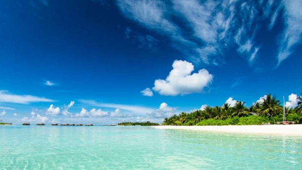 ペリリュー島への想い